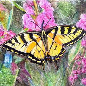 Meet your Posher, Carolyn